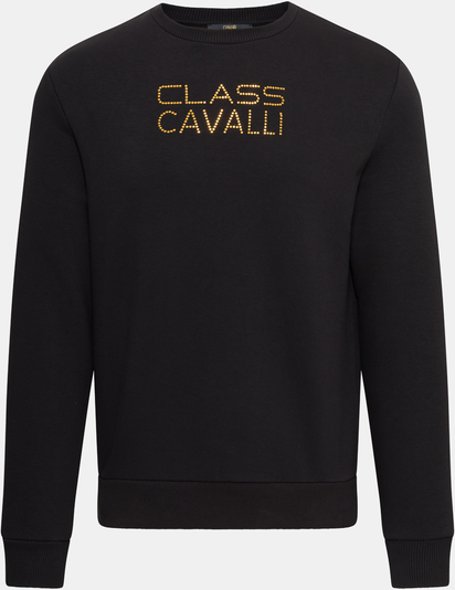 Bluza Cavalli Class