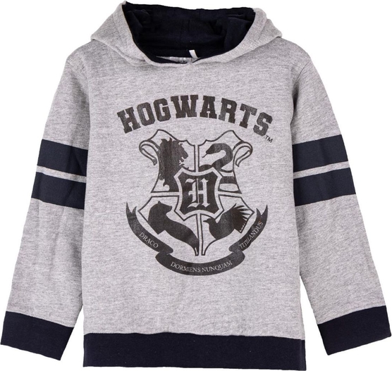 Bluza dziecięca Harry Potter z dzianiny dla chłopców