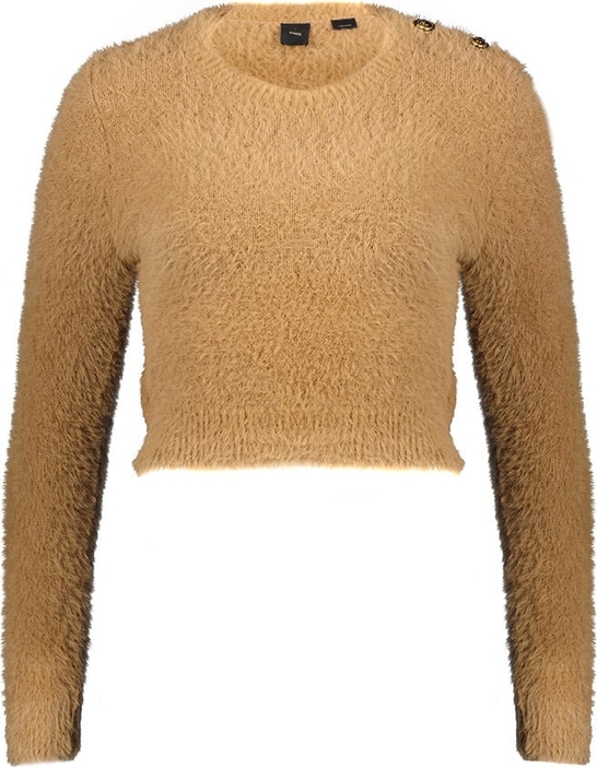 Brązowy sweter Pinko