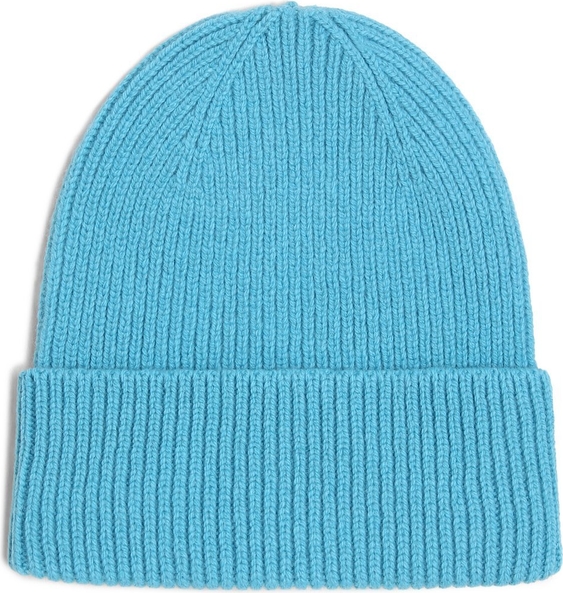 Niebieska czapka Colorful Standard