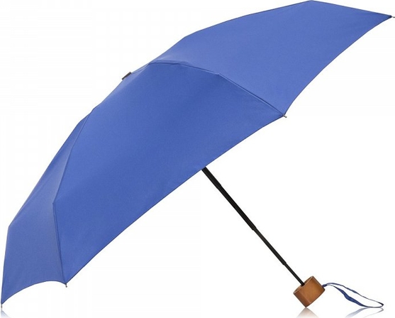 Niebieski parasol ochnik