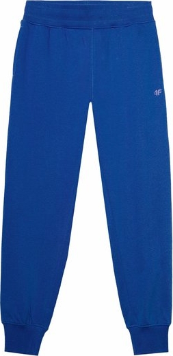 Niebieskie spodnie 4F