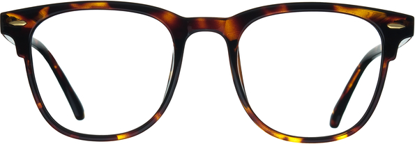Okulary korekcyjne Santino TR 1801 C3
