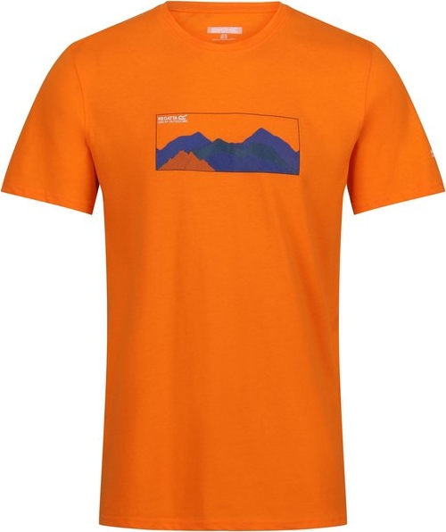 Pomarańczowy t-shirt Regatta z bawełny w młodzieżowym stylu