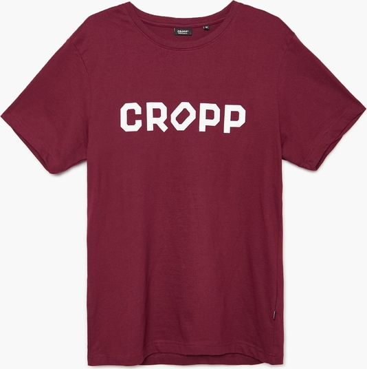 T-shirt Cropp z krótkim rękawem