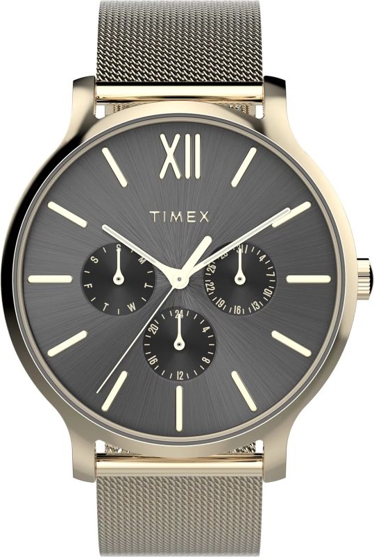 Zegarek TIMEX TW2W20000