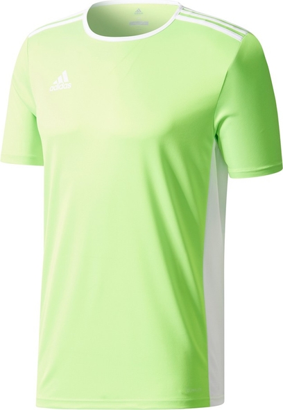 Zielona koszulka dziecięca Adidas Teamwear
