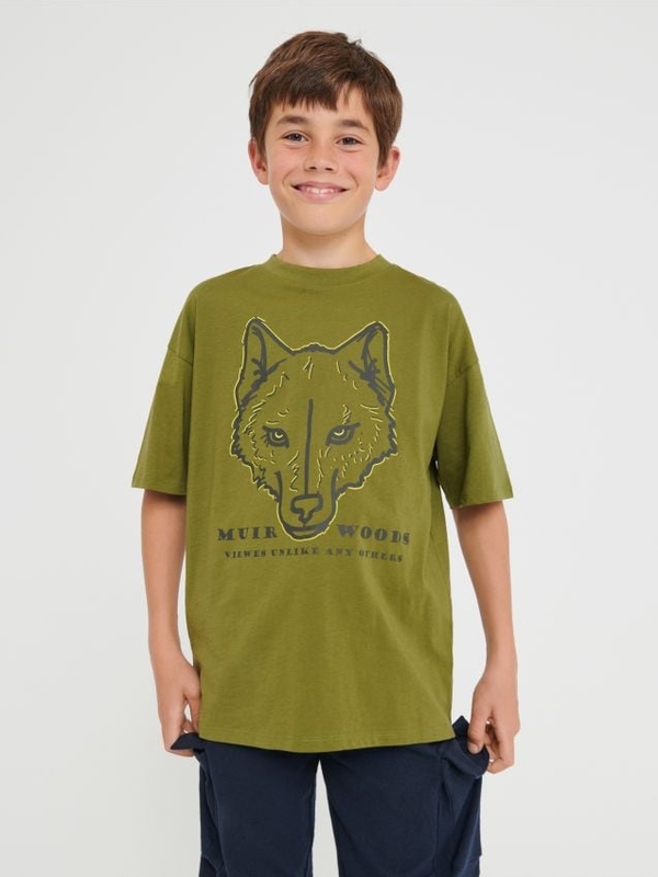 Zielona koszulka dziecięca Sinsay z bawełny dla chłopców
