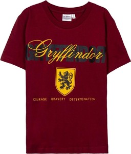 Koszulka dziecięca Harry Potter