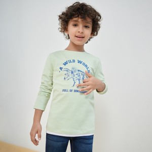 Koszulka dziecięca Sinsay dla chłopców