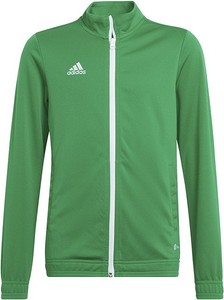 Zielona bluza dziecięca Adidas dla chłopców