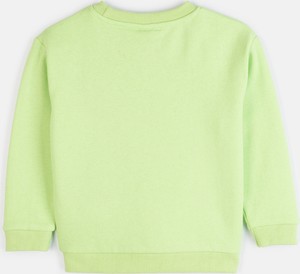 Zielona bluza dziecięca Gate z bawełny