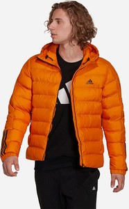 Pomarańczowa kurtka Adidas Performance