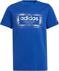 Niebieska koszulka dziecięca Adidas dla dziewczynek z krótkim rękawem