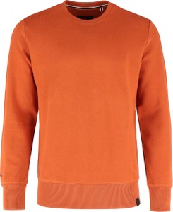 Pomarańczowa bluza Volcano z bawełny