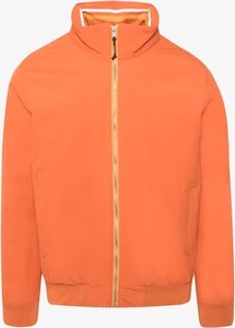 Pomarańczowa kurtka Timberland krótka