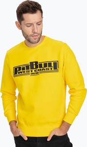 Żółta bluza Pitbull w młodzieżowym stylu