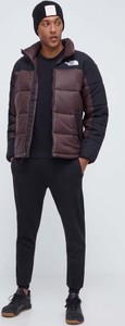 Brązowa kurtka The North Face w sportowym stylu krótka