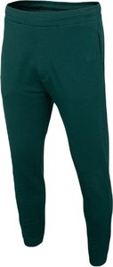 Zielone spodnie 4F w sportowym stylu z bawełny