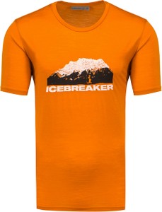 T-shirt Icebreaker w młodzieżowym stylu z wełny