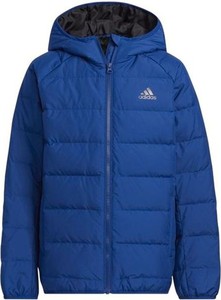 Niebieska kurtka dziecięca Adidas