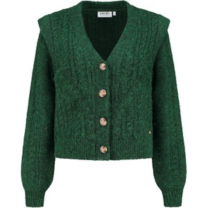 Zielony sweter Shiwi z wełny