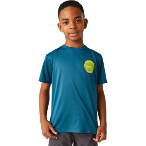 Koszulka dziecięca Regatta dla chłopców