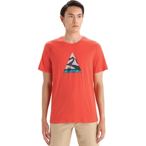 Pomarańczowy t-shirt Icebreaker w młodzieżowym stylu
