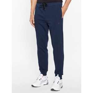 Niebieskie spodnie 4F w sportowym stylu z dresówki