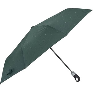 Zielony parasol Ochnik