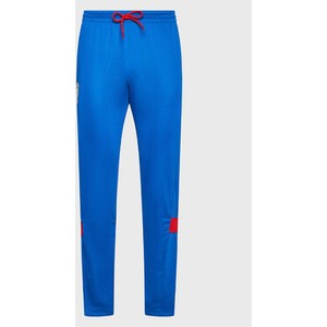 Niebieskie spodnie sportowe Reebok Classic w sportowym stylu z dresówki