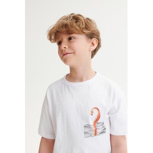 Koszulka dziecięca Reserved dla chłopców