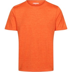 Pomarańczowy t-shirt Regatta