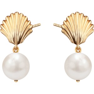 Pearls - Biżuteria Yes Kolczyki srebrne pozłacane z perłami - muszle - Pearls
